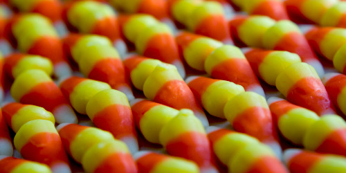 Thursday Scent Dispatch: Candy Corn Day, Carry-On Chaos, and the Oddballs I’m Wearing