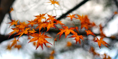 Fall Back Rituals: The One I’m Buying, The One I’m Ditching, And The One I’m Packing