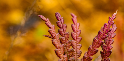 Lazy Long-Weekend Scent Check: What I’m Wearing, What I’m Avoiding, What I Accidentally Collected