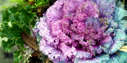 Lazy 3-Day Weekend Scent Survival Guide: Real-Girl Picks For Thanksgiving Calm