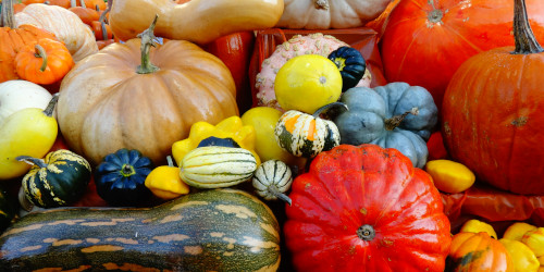 Thanksgiving Skin Scents: What Actually Works Around A Feast