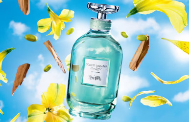 Coach Dreams Starlight: sweet tooth after dark or the best Coach flanker yet?