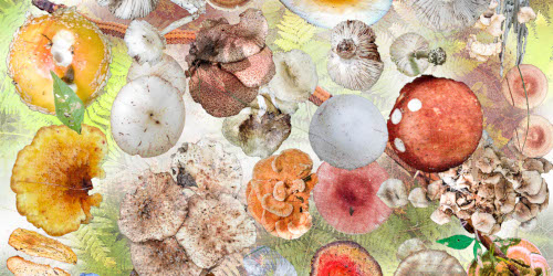 World Soil Day: Earthy Perfumes That Smell Like Real Ground