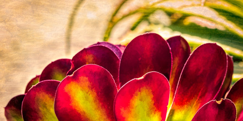 If Your Tree Smells Better Than Your Wrist, We Need To Talk