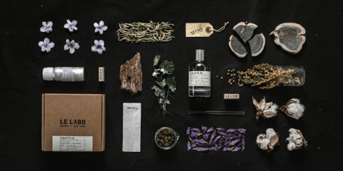 Le Labo Violette 30: lipsticked petal or green glare?