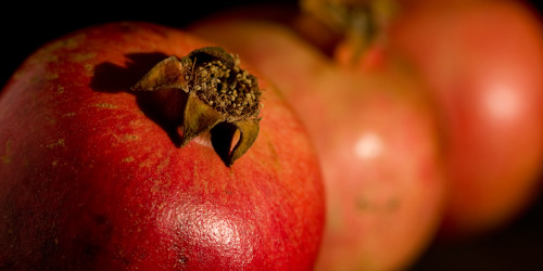 Sweatpants, Dior’s Birthday, and the Quiet Power of Diorissimo