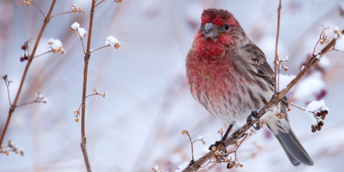 My 3-Day Weekend Scent Survival Kit For Late January