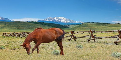 Midweek Spark: Wine Day, Ash, and a Zing of Lush 25:43