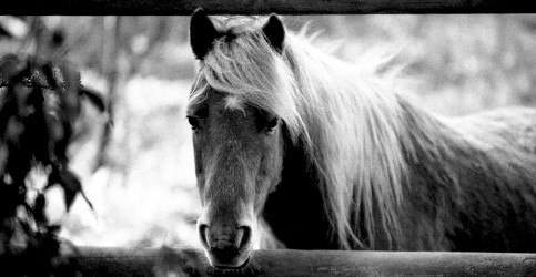 Thursday Scent of the Day: L’Artisan Parfumeur Dzongkha For The Almost-Spring Mood